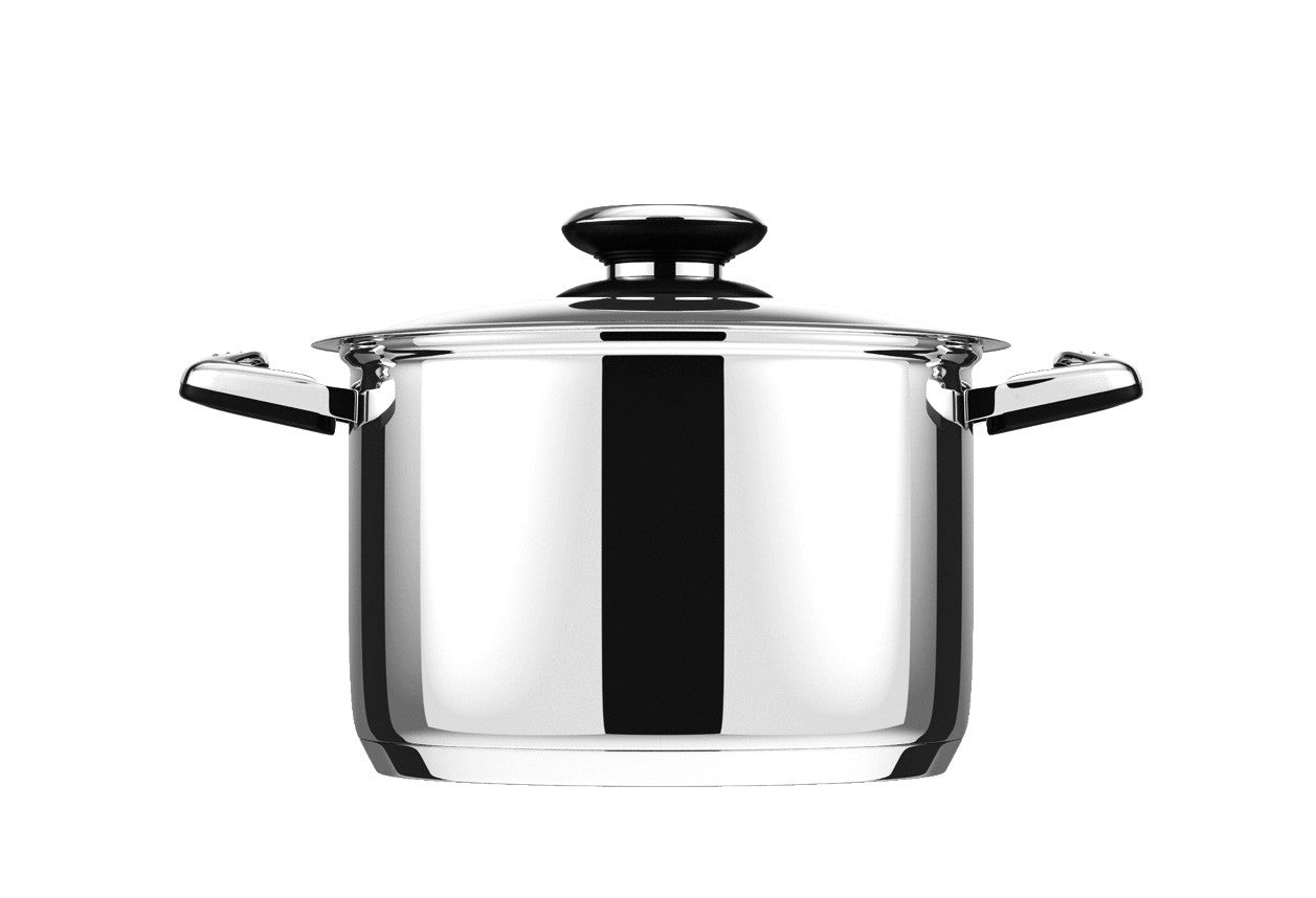 2 Large Stock Pots with Lids (12 qt. and 20 qt.) — Platinum Cooking Shows